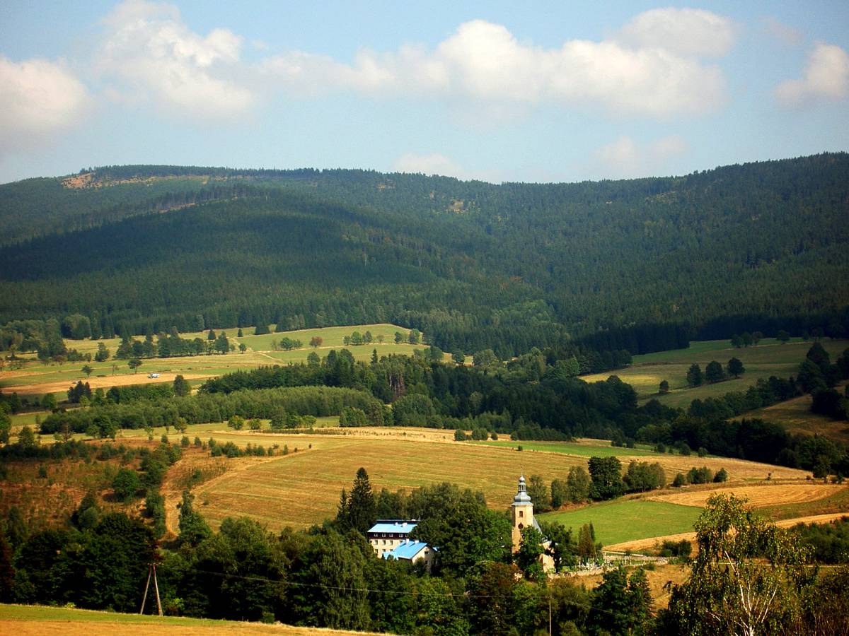 Wydzierżawię budynek z przeznaczeniem na Dom Seniora