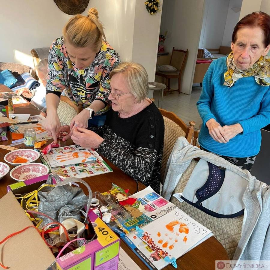 Zakład Pielęgnacyjno-Opiekuńczy Villa Seniora