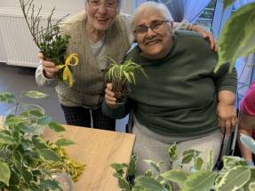 Dom Seniora Pod Topolami