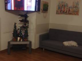 Dom Opieki Sekwoja - opieka długoterm. pielęgniarska