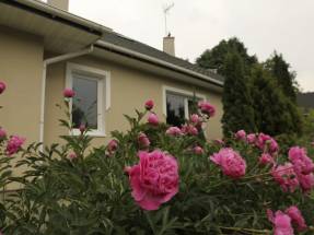 Dom Seniora Villa Peonia