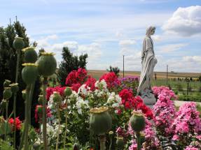 Pałac Seniora w Raszkowie