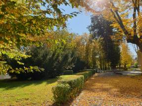 Dom Pomocy Społecznej