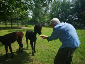Dom Pomocy Społecznej Przystań Seniora