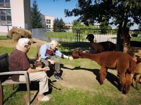 Dom Pomocy Społecznej Przystań Seniora