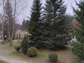 Dom Pomocy Społecznej Hamernia