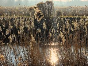 Familien-Pflegehaus WrzosowyDom.pl