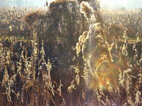 Familien-Pflegehaus WrzosowyDom.pl
