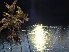 Familien-Pflegehaus WrzosowyDom.pl