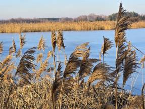 Familien-Pflegehaus WrzosowyDom.pl