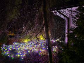 Familien-Pflegehaus WrzosowyDom.pl