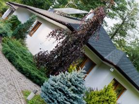 Familien-Pflegehaus WrzosowyDom.pl