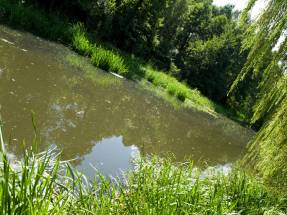 Familien-Pflegehaus WrzosowyDom.pl