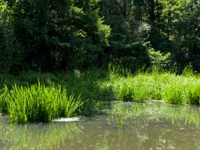 Familien-Pflegehaus WrzosowyDom.pl