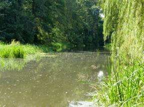Familien-Pflegehaus WrzosowyDom.pl