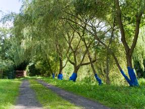 Familien-Pflegehaus WrzosowyDom.pl