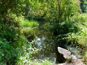 Familien-Pflegehaus WrzosowyDom.pl