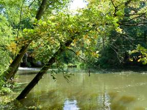 Familien-Pflegehaus WrzosowyDom.pl