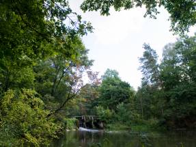 Familien-Pflegehaus WrzosowyDom.pl
