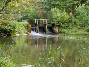 Familien-Pflegehaus WrzosowyDom.pl