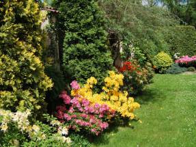 Dom Opieki Pod Dębem