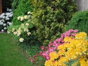 Dom Opieki Pod Dębem