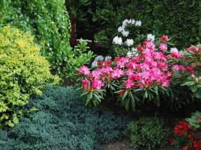 Dom Opieki Pod Dębem