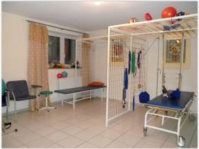 Dom Opieki Sekwoja - opieka długoterm. pielęgniarska