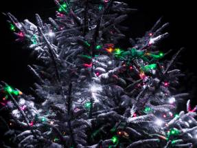 Familien-Pflegehaus WrzosowyDom.pl