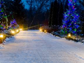 Familien-Pflegehaus WrzosowyDom.pl