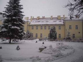 Dom Pomocy Społecznej dla Osób Przewlekle Psychicznie Chorych w Babicy