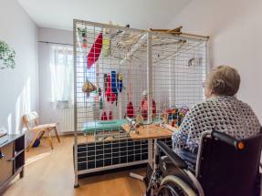 Pension Pogodna Jesien