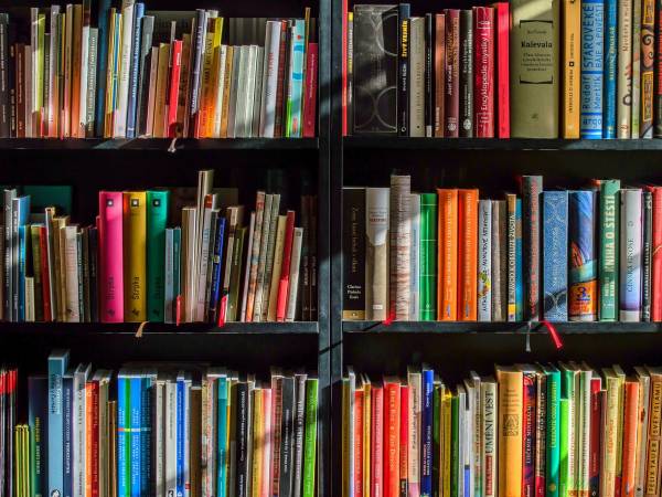 Literatura dla seniora - Nad Niemnem