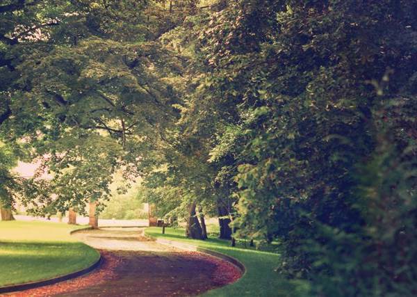 Dom Seniora Senior Residence Pałac Spławie