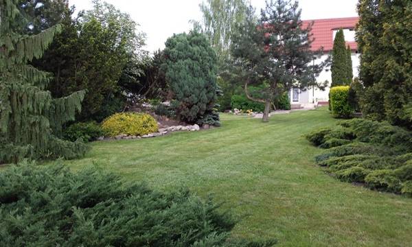 Dom Pielęgnacyjno Opiekuńczy TIM-Plus