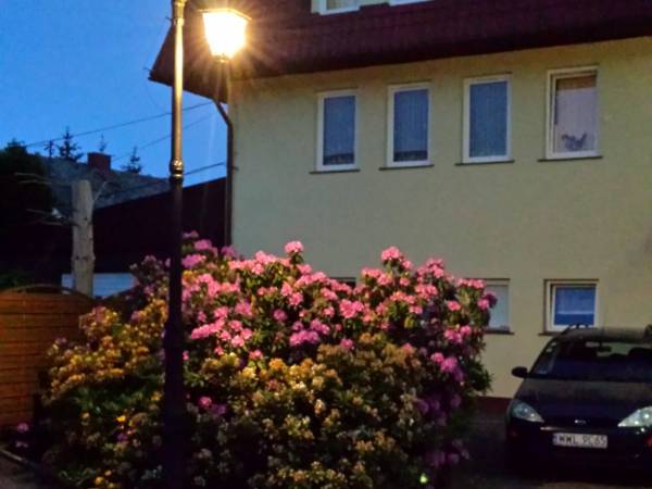 Dom Pielęgnacyjno Opiekuńczy TIM-Plus