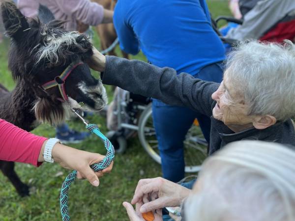 Noworudzkie Centrum Geriatryczne Senior