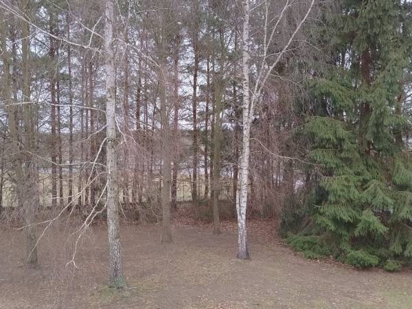 Dom Pomocy Społecznej Hamernia