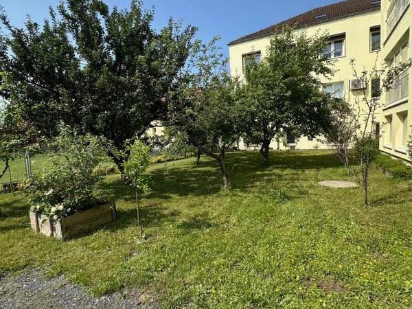 Dom Opieki Zgromadzenia Córek Św. Kamila W Opolu