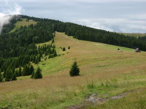 Aktywne wczasy dla seniora