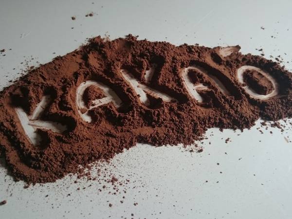 Właściwości kakao wpływają na pracę mózgu
