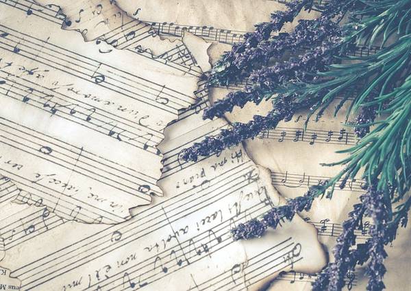 Toruń: muzyczny Dzień Babci i Dziadka