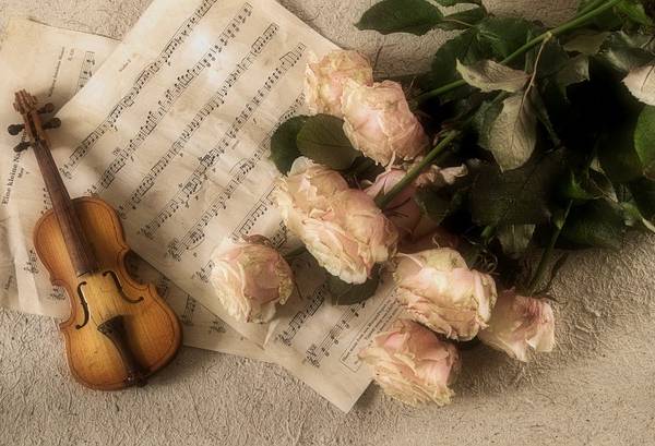 Koncert: Oberton String Octet w Gdańsku