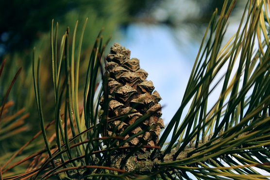 Promocje Duszniki-Zdrój 