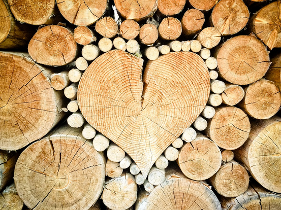 Promocje Polanica-Zdrój 